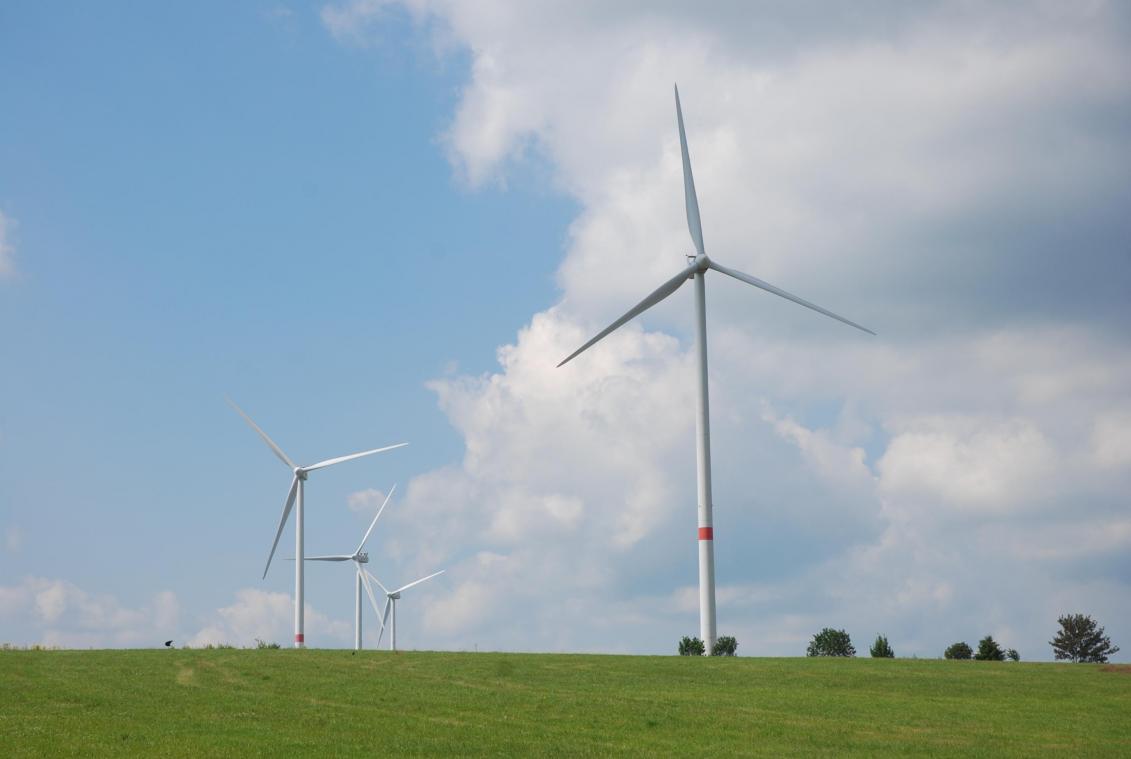 <p>Der Windpark in Emmels soll erweitert werden.</p>