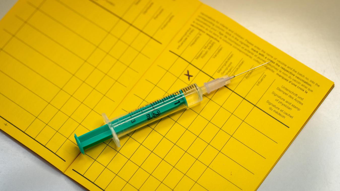 <p>Der digitale Impfpass ist „in wenigen Wochen verfügbar“</p>
