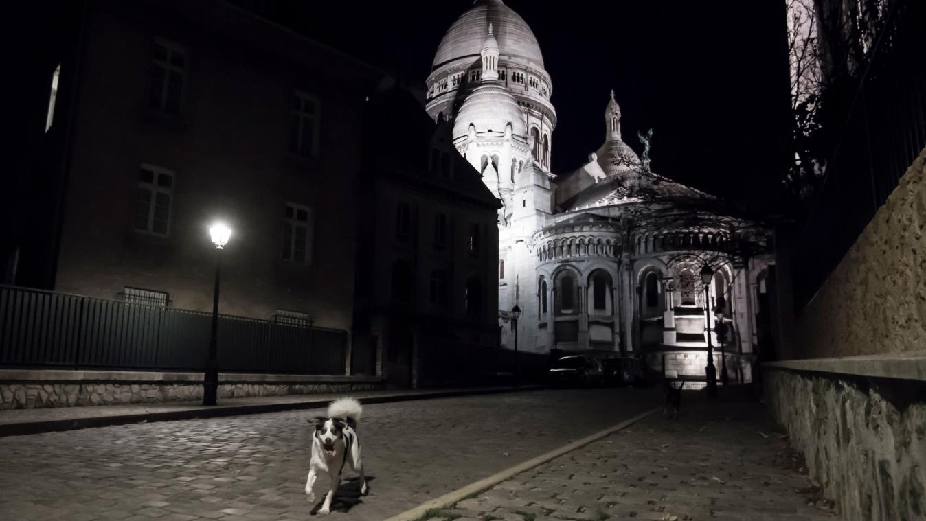 <p>Hunde laufen eine menschleere Straße in der Nähe der Basilika Sacre-Coeur in Paris entlang. Menschen dürfen zwischen 18.00 Uhr und 6.00 Uhr nicht mehr ohne trifftigen Grund das Haus verlassen.</p>