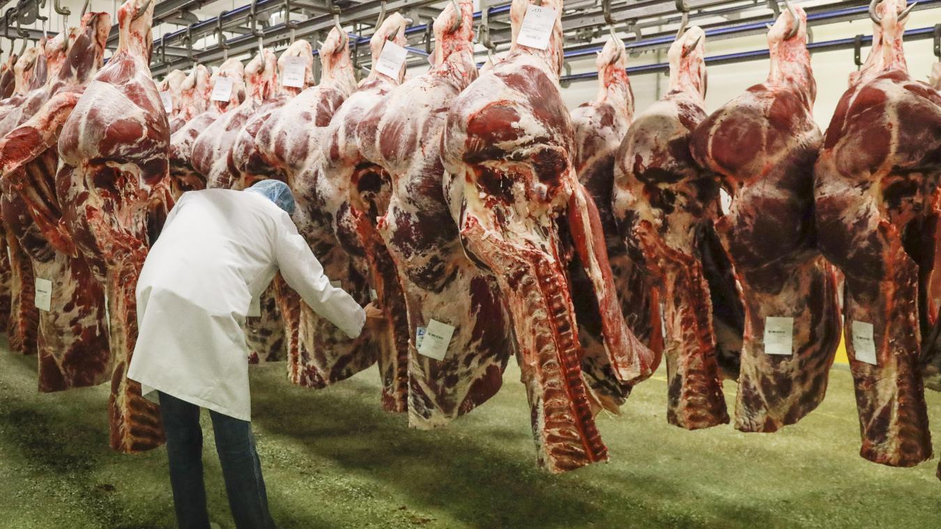 <p>Handel mit „Buschfleisch“ soll eingedämmt werden</p>
