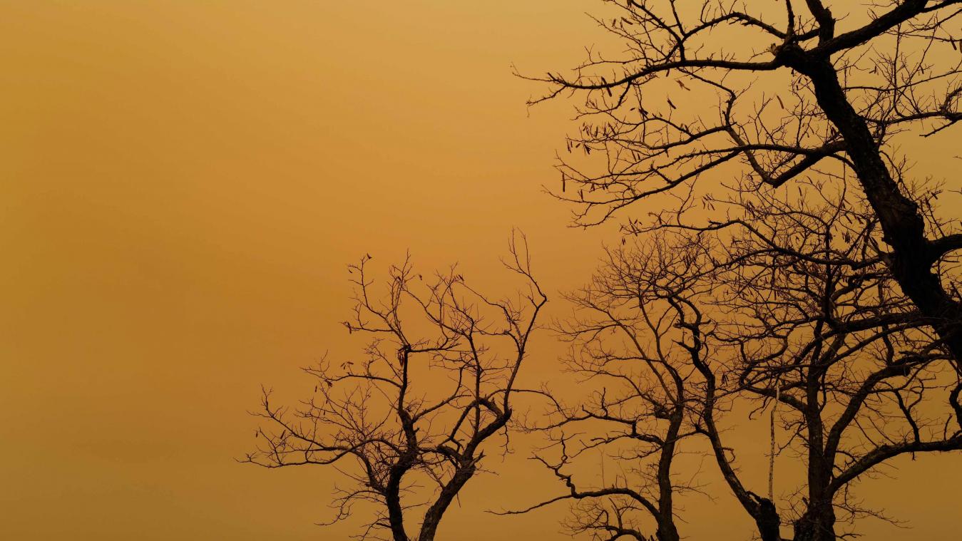 <p>Schwaden aus Wüstenstaub können den Himmel rot färben und Spuren auf Fenstern und Windschutzscheiben hinterlassen - ob das auch diesmal der Fall sein wird, ist bisher noch unklar.</p>
