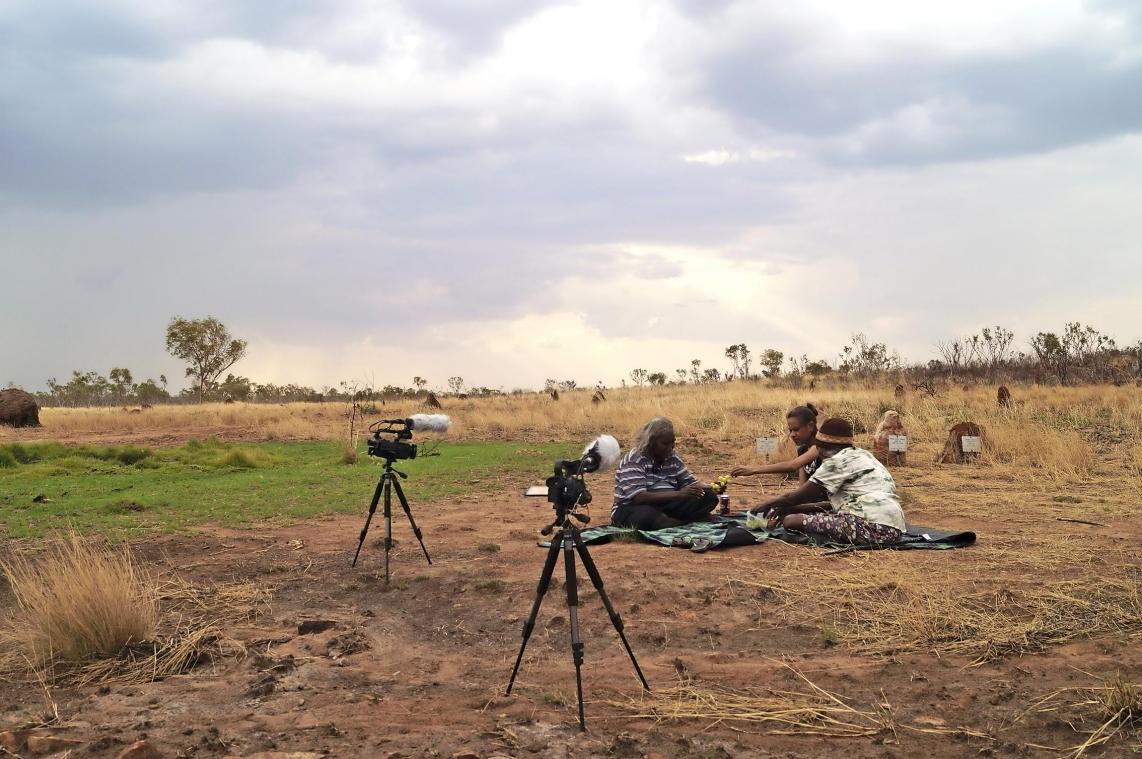 <p>Eine Aufgabe des Linguisten ist, die Sprache aufzunehmen, zu transkribieren und zu analysieren.</p>