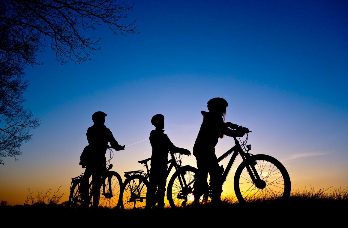 <p>Ein Familienausflug mit dem Fahrrad ist zu Corona-Zeiten äußerst beliebt. Das spüren auch die hiesigen Händler.</p>
