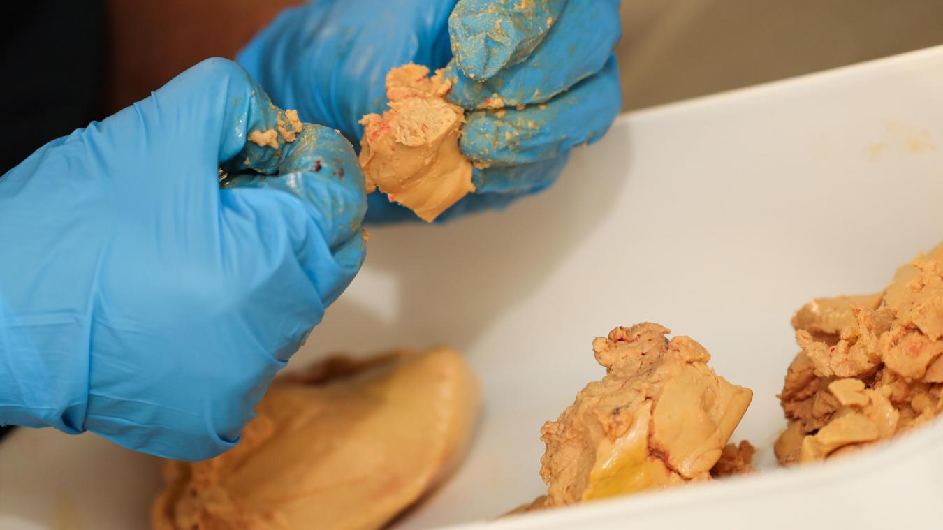 <p>„Foie gras“ wird vor allem in der Wallonie produziert.</p>