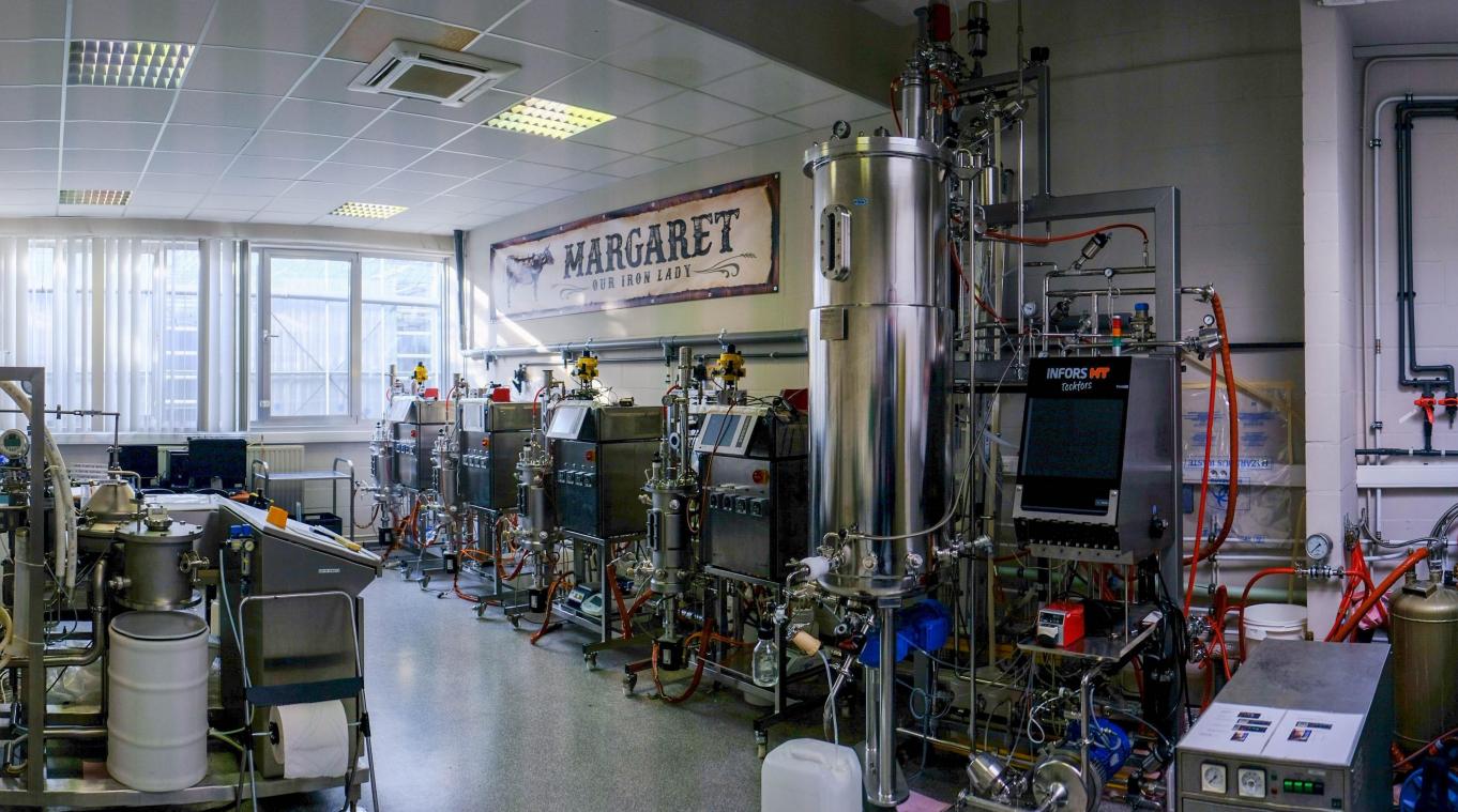 <p>Auf der Jagd nach dem richtigen Pilz</p>
