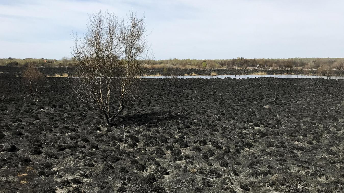 <p>Spuren des Großbrandes in dem Militärgebiet Ende April</p>