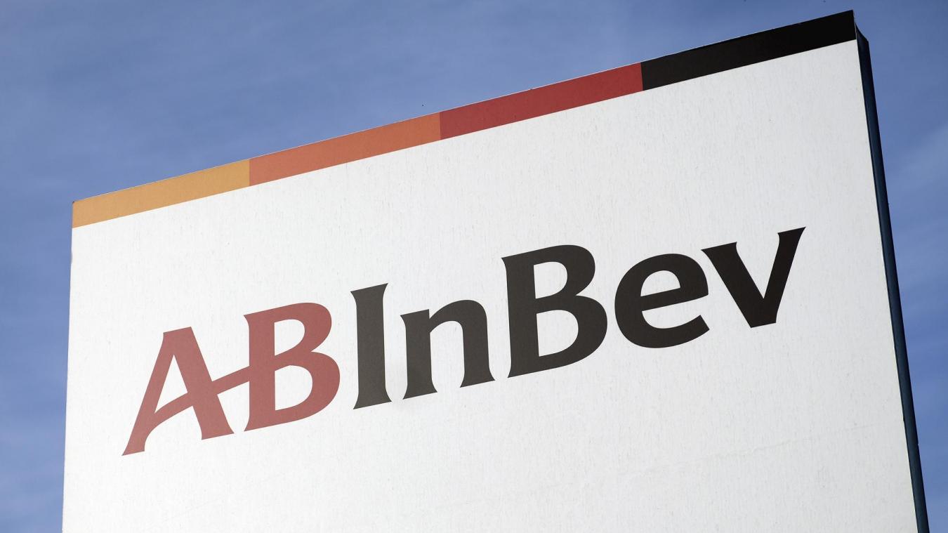 <p>AB-Inbev-Erben im Visier des Fiskus</p>
