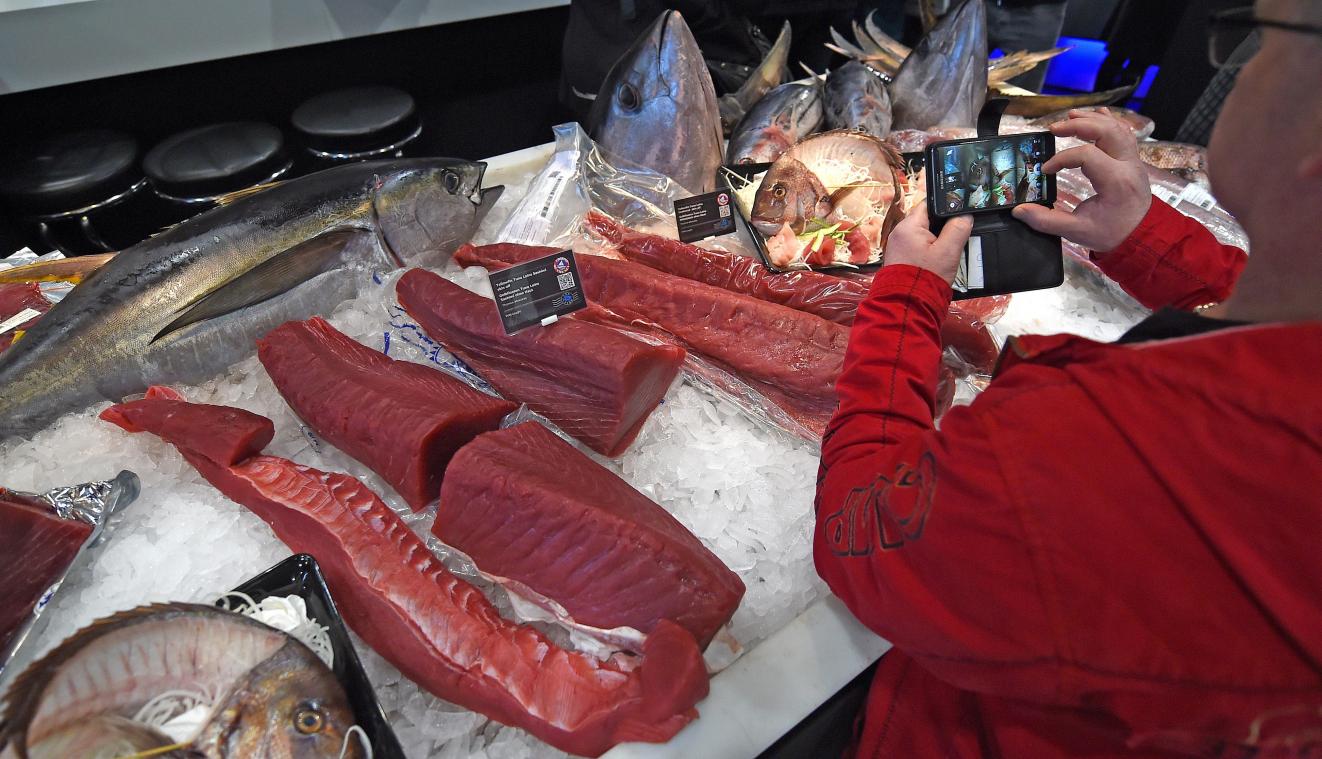 <p>Thunfischfilets liegen in einer Theke im Eis. Die Fasnk hat Betrugsfälle illegal gefärbten Thunfischs aufgedeckt.</p>