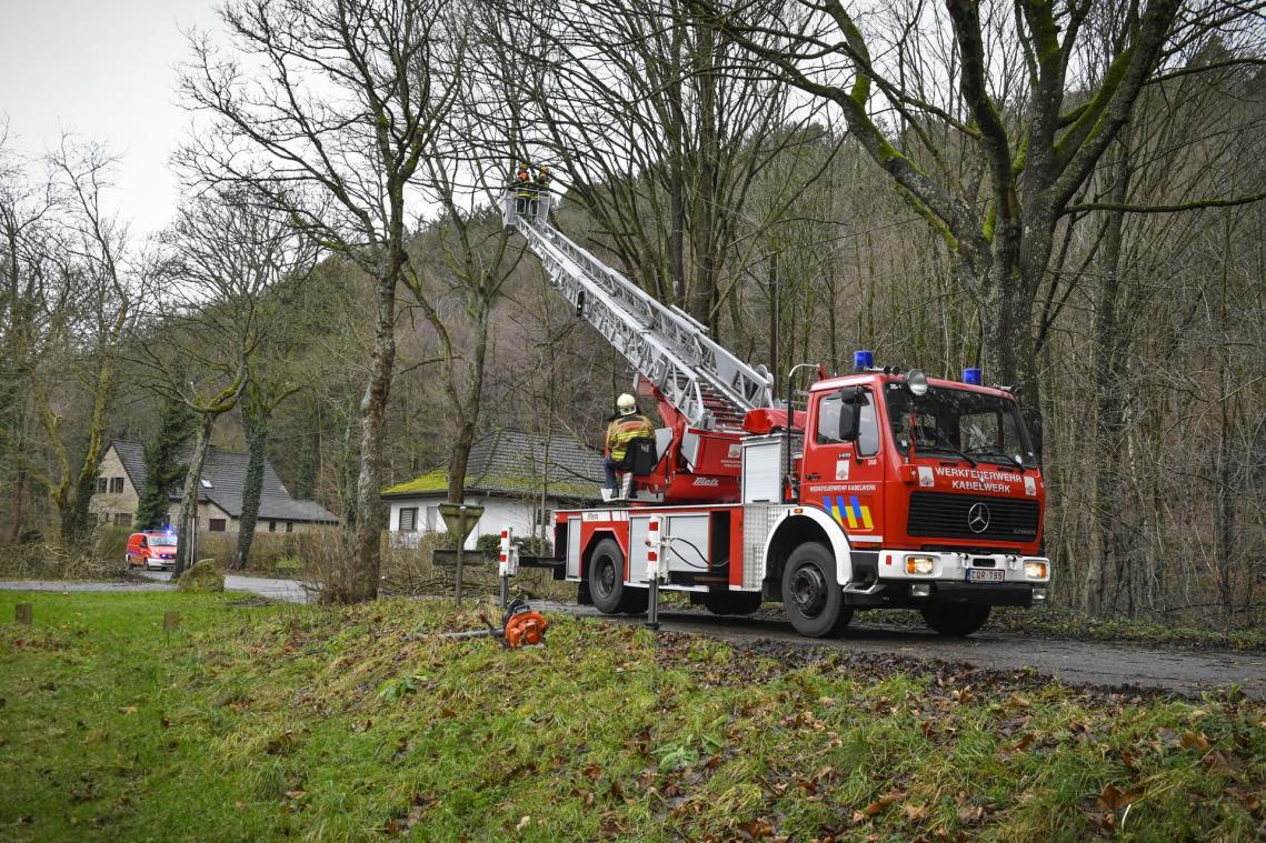 <p>Professionalisierung der Feuerwehr in der Hilfeleistungszone DG wird vorangetrieben</p>
