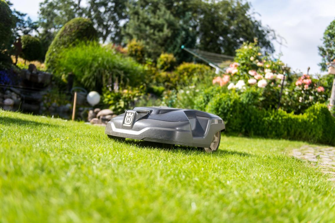 <p>Mähroboter: Sensibilisierung statt Verbot in der Eifel</p>
