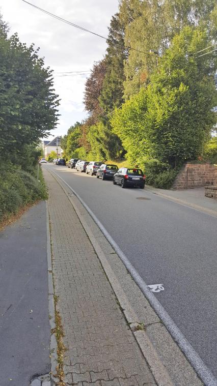 <p>Gemeinde und Polizei erachten ein von einigen Anliegern gefordertes Parkverbot in der oberen Wiesenbachstraße in St.Vith weder für erforderlich noch für gesetzlich durchsetzbar, weil das Parken auf der Straße dort erlaubt sei.</p>