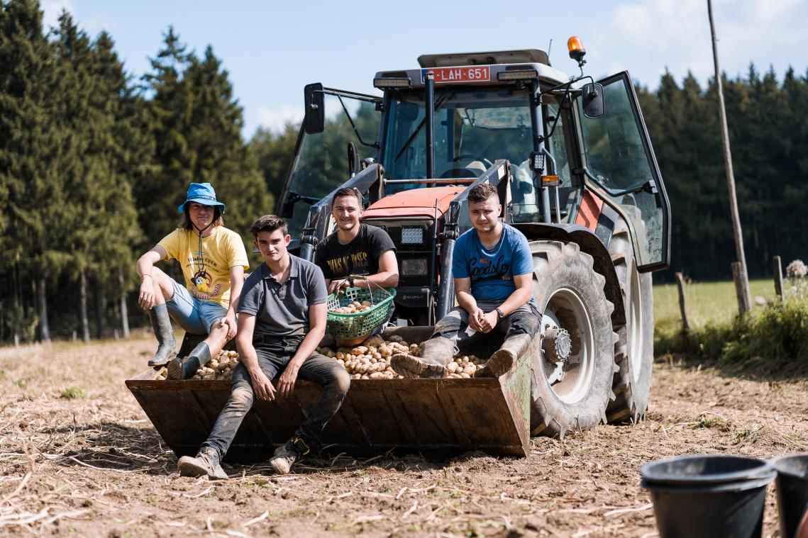 <p>Yann Arens, Lucas Weynand, Julien Feltes und Patrick Hoffmann (v.l.n.r.) haben mit der Unterstützung fleißiger Helfer am Wochenende ihre Kartoffeln geerntet.</p>