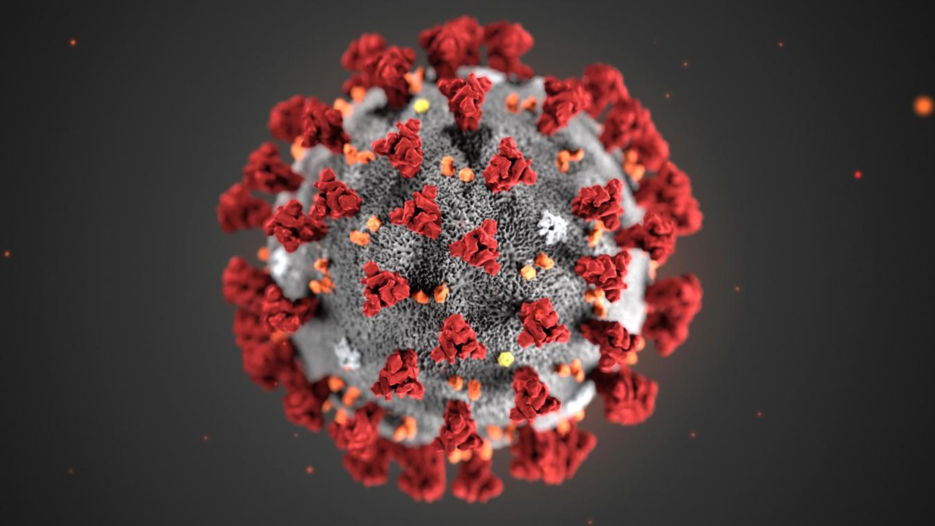 <p>Diese von den Centers for Disease Control and Prevention (CDC) im Januar 2020 zur Verfügung gestellte Illustration zeigt das Coronavirus (2019-nCoV).</p>