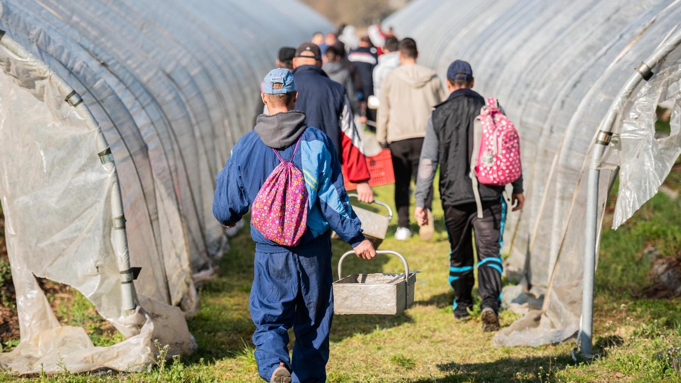 <p>Saisonarbeiter auf dem Weg zur Ernte.</p>
