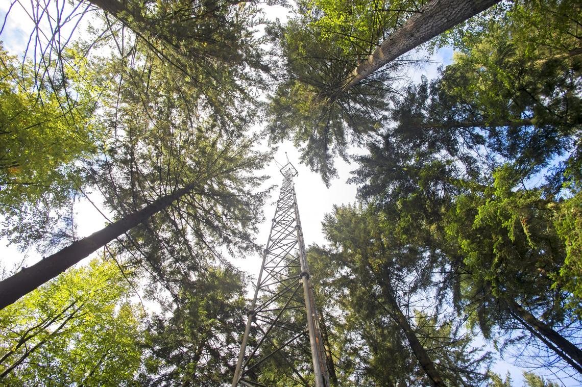 <p>Der Mast unweit von Poteau ist 50 Meter hoch.</p>