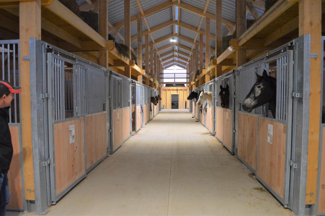 <p>15 Pferdeboxen bestehen im neuen Stall des Reitvereins Büllingen.</p>