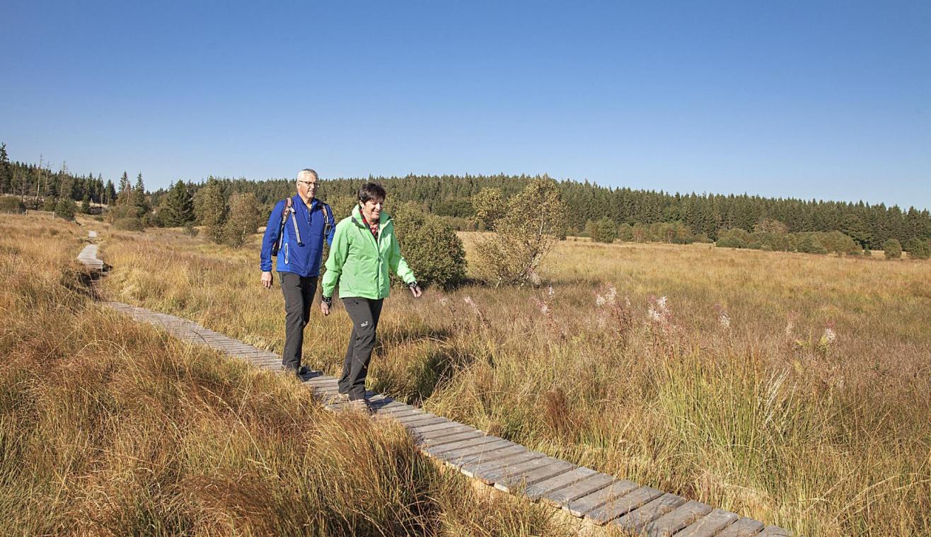 <p>Die Holzstege sind ein Symbol des Hohen Venns, jedoch ist ihr Unterhalt teuer. Der Provinzabgeordnete Claude Klenkenberg will mehrere Akteure an einen Tisch bekommen, um zumindest einen Teil der Stege zu erhalten.</p>