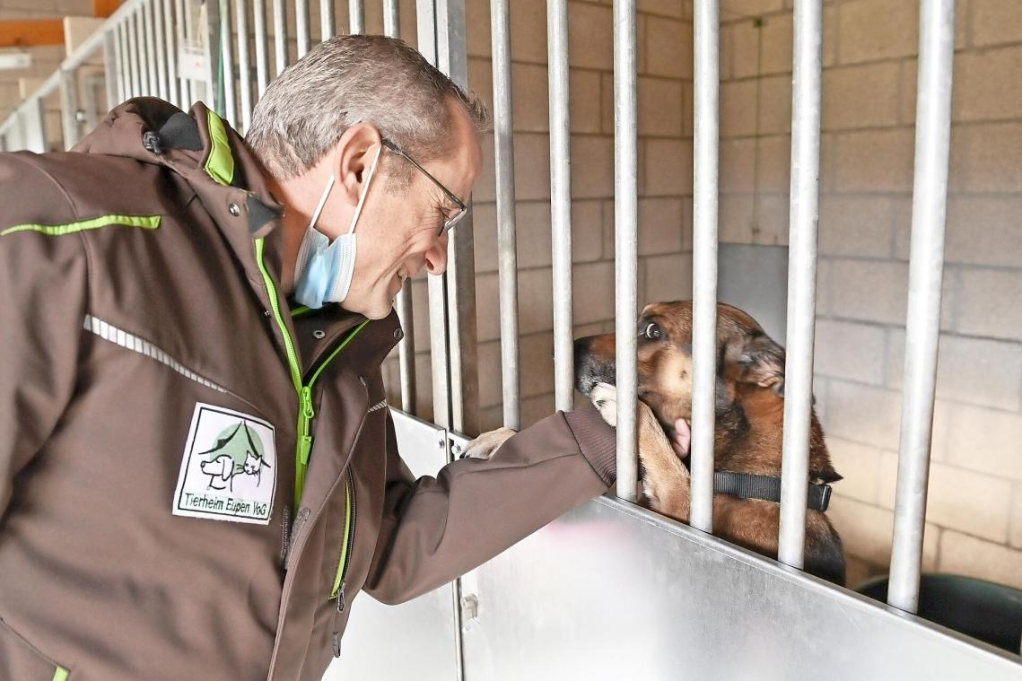 <p>Michel Matagne, Präsident der Tierschutzvereinigung, mit einem Bewohner des Eupener Tierheims</p>