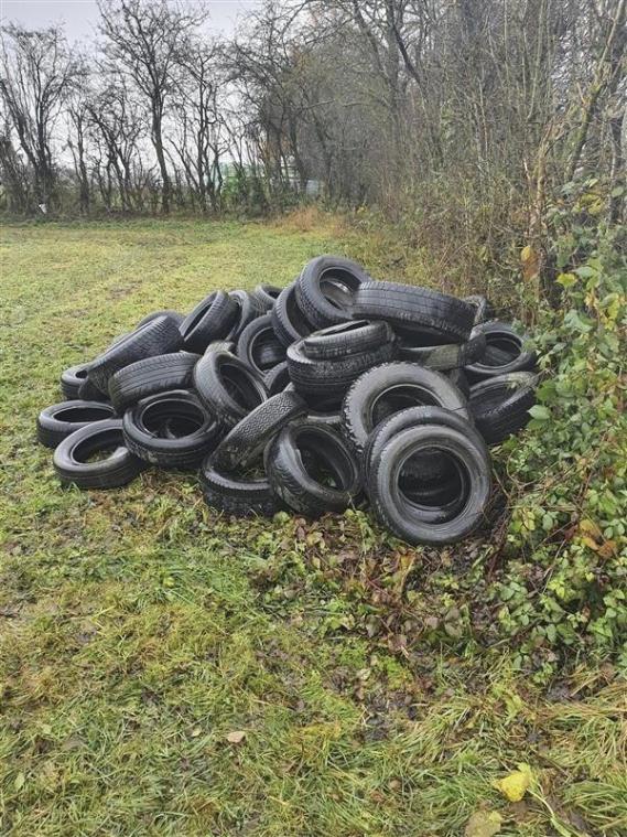 <p>Rund 50 Reifen wurden auf der Wiese illegal abgeladen.</p>