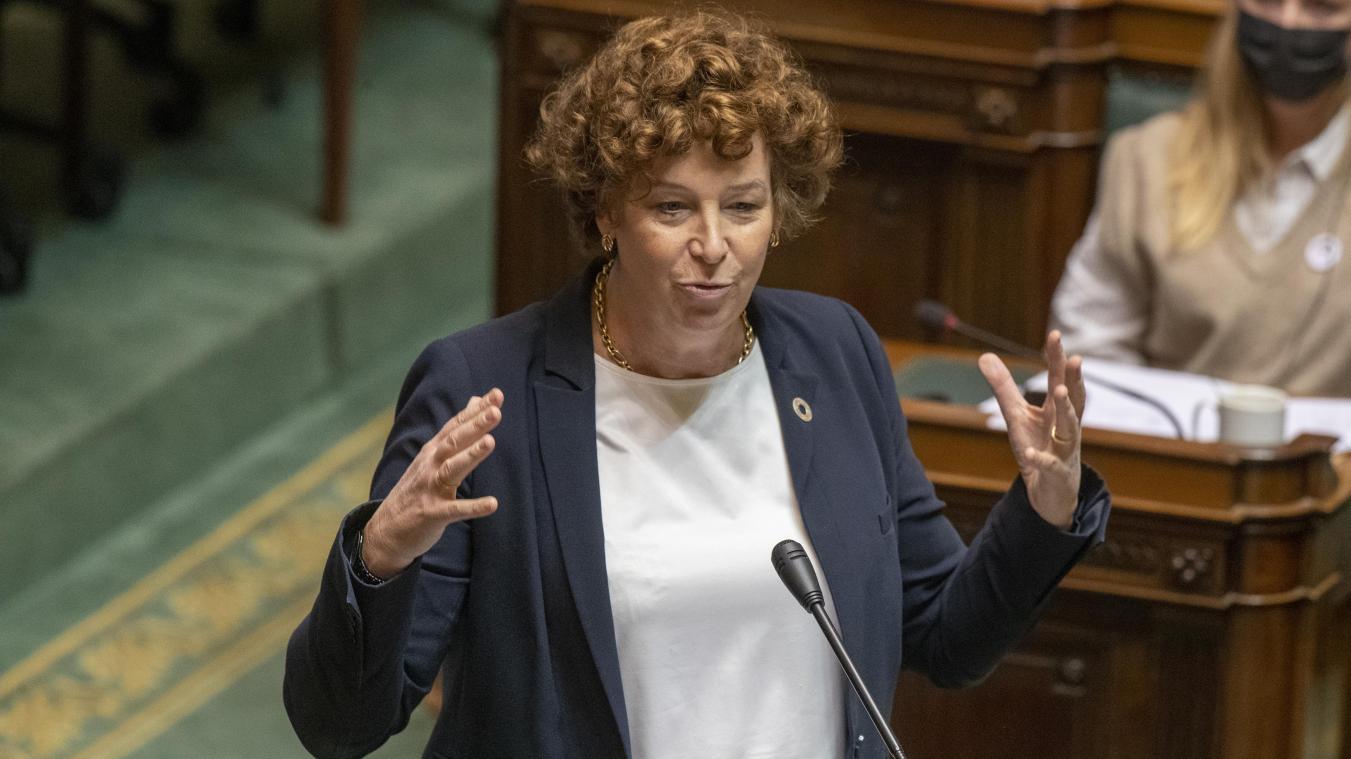 <p>Ministerin De Sutter will durch ihr Gesetz für mehr Klarheit und Transparenz sorgen.</p>