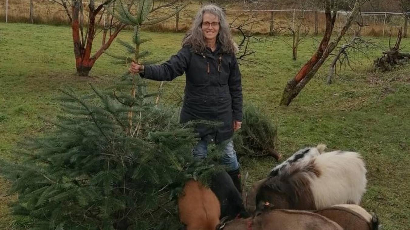 <p>Françoise Pêcheur veröffentlichte auf Instagram einen Post, mit dem sie die Menschen dazu ermutigt, ihre gebrauchten Weihnachtsbäume zu ihrer Farm zu bringen, wo ihre Ziegen die Bäume als Delikatess für sich entdeckt haben.</p>