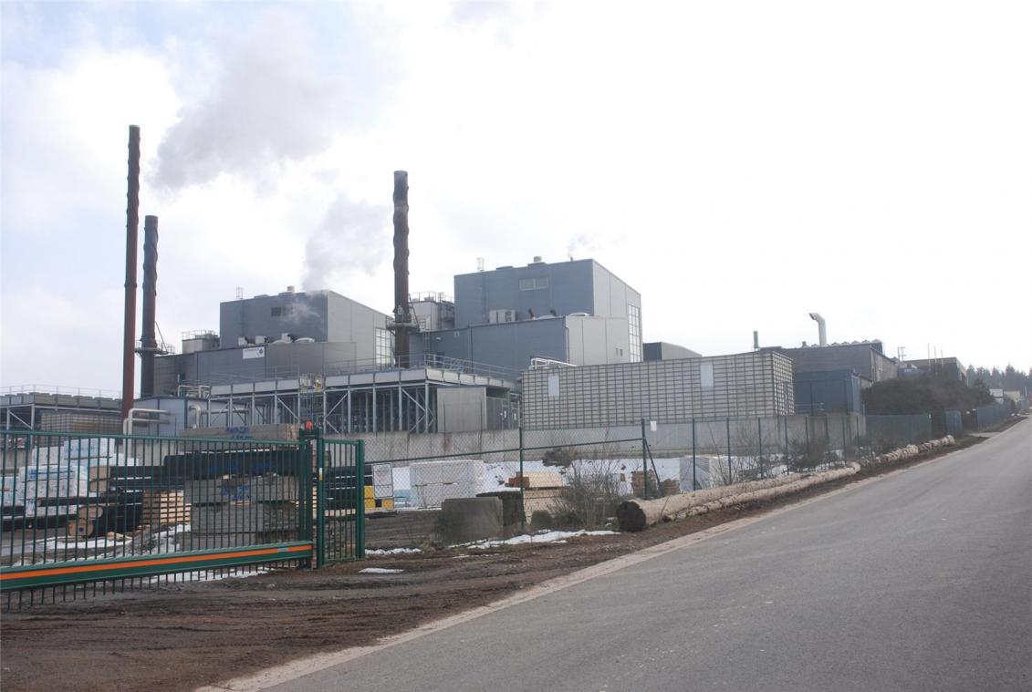 <p>Die Betreiber des Biomasseheizkraftwerks in der Industriezone Kaiserbaracke sehen sich nicht als Umweltsünder, sondern vielmehr als Opfer unklarer beziehungsweise nicht vorhandener Normen.</p>