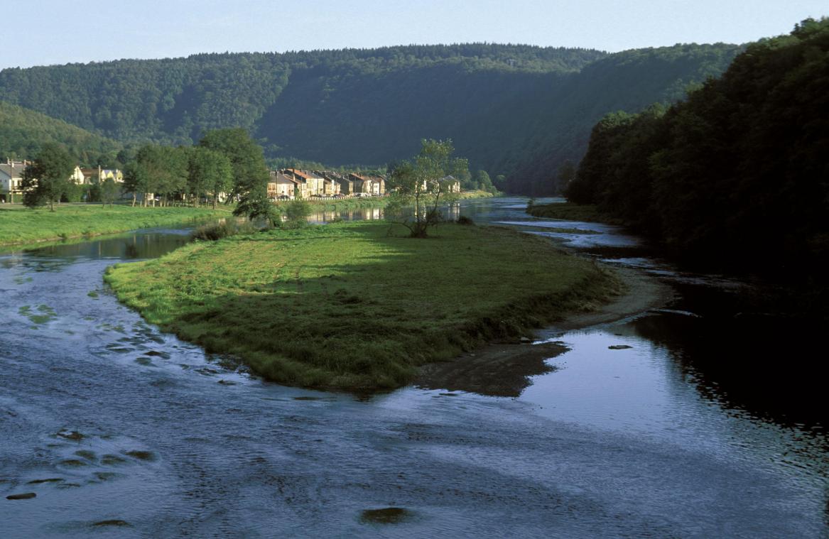<p>Die Korn soll eine Überflutungszone in Saint-Rémy erhalten.</p>