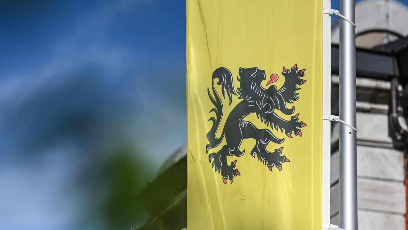 <p>Die Flagge von Flandern</p>
