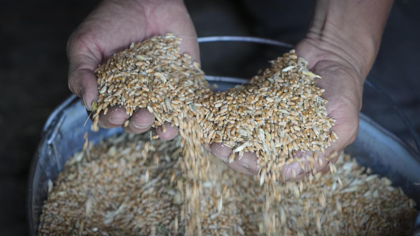 <p>Landwirt Serhiy zeigt Getreide in seiner Scheune in der Region Donezk. Das von Russland und der Ukraine vereinbarte Kontrollzentrum zur Überwachung von ukrainischen Getreideexporten ist in Istanbul offiziell eröffnet worden.</p>