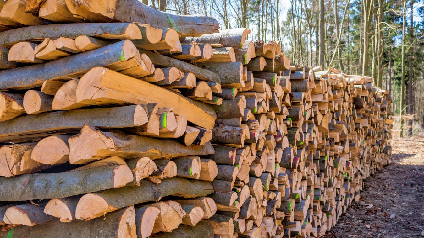 <p>Auch beim Holz steigt nicht nur die Nachfrage, sondern auch der Preis.</p>