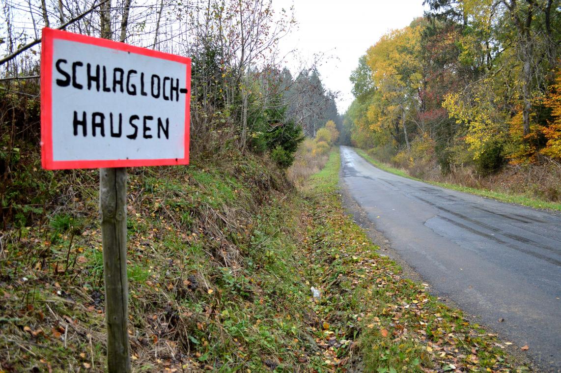<p>„Schlaglochhausen“ verdeutlicht die Kritik am Zustand des Wirtzfelder Weges in Bütgenbach.</p>
