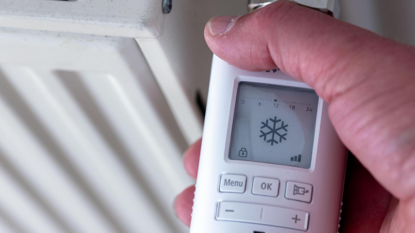 <p>Auf einem digitalen Heizungsregler wird das Frostzeichen angezeigt und signalisiert einen abgestellten Heizkörper. Der Gasverbrauch der belgischen Haushalte hat zuletzt abgenommen.</p>