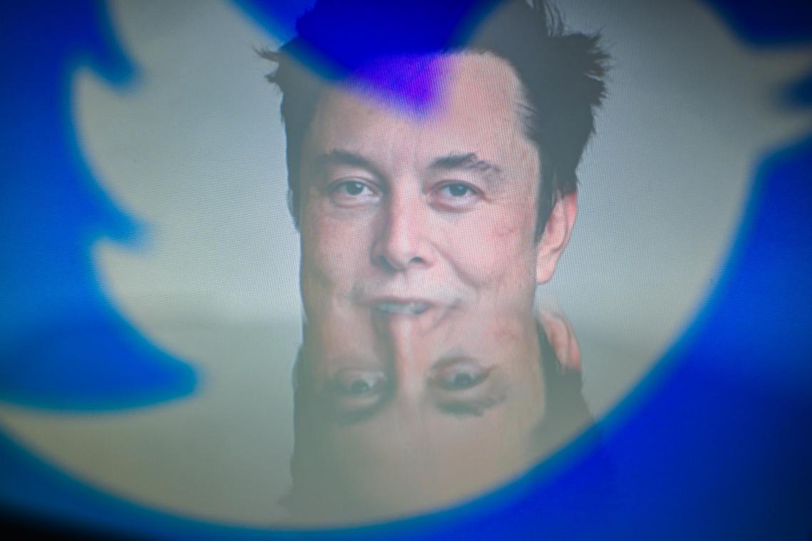 <p>Elon Musk, CEO von Tesla und SpaceX, hinter den Silhouetten des Twitter-Logos.</p>
