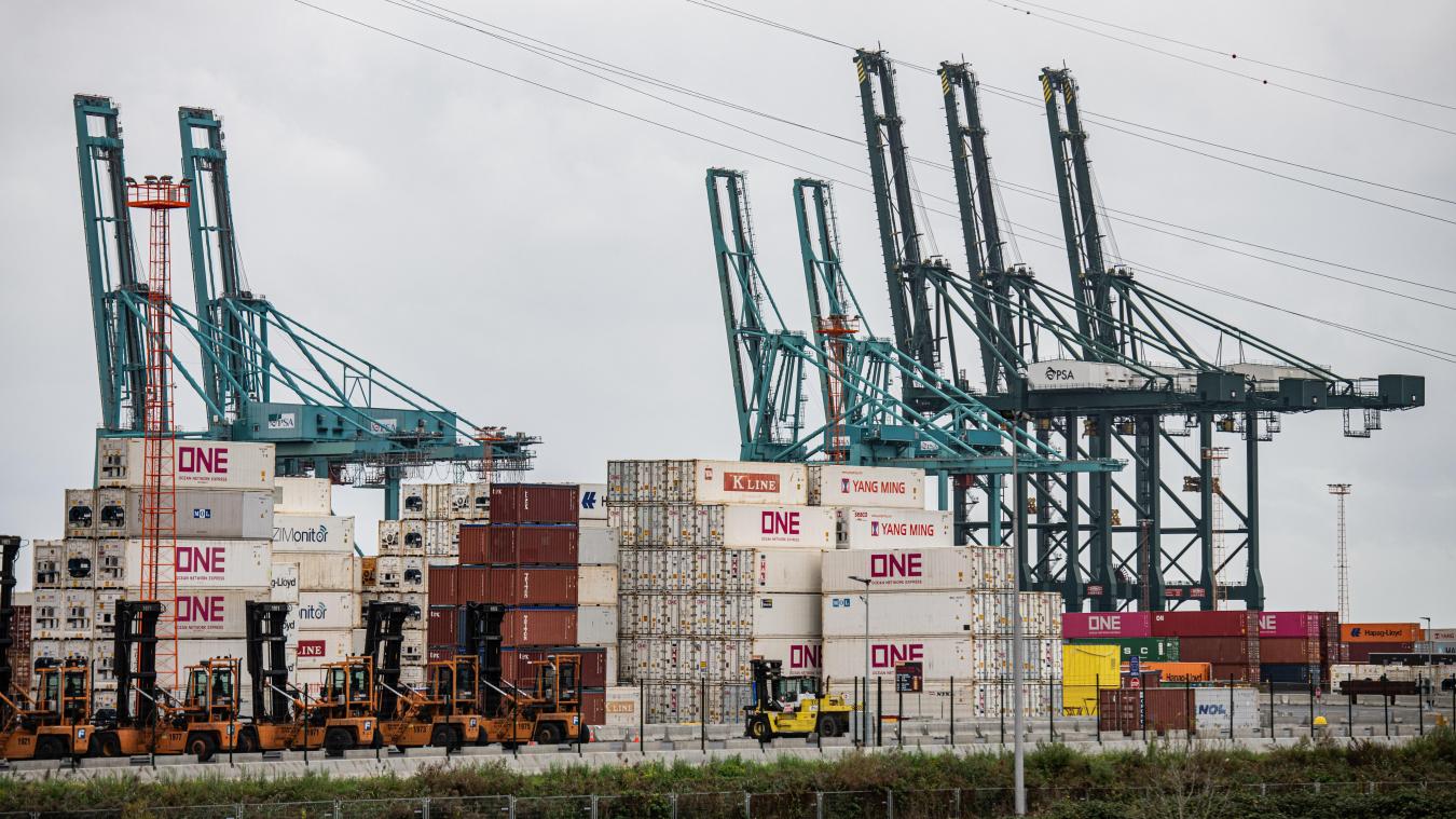 <p>Auch der Antwerpener Hafen wurde am Mittwoch bestreikt: Der Betrieb stand vollständig still.</p>