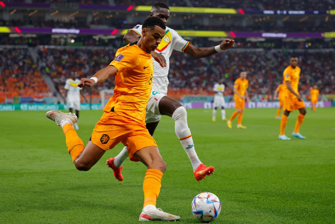 <p>Glücklicher Sieg gegen Senegal: Niederlande jubeln spät</p>
