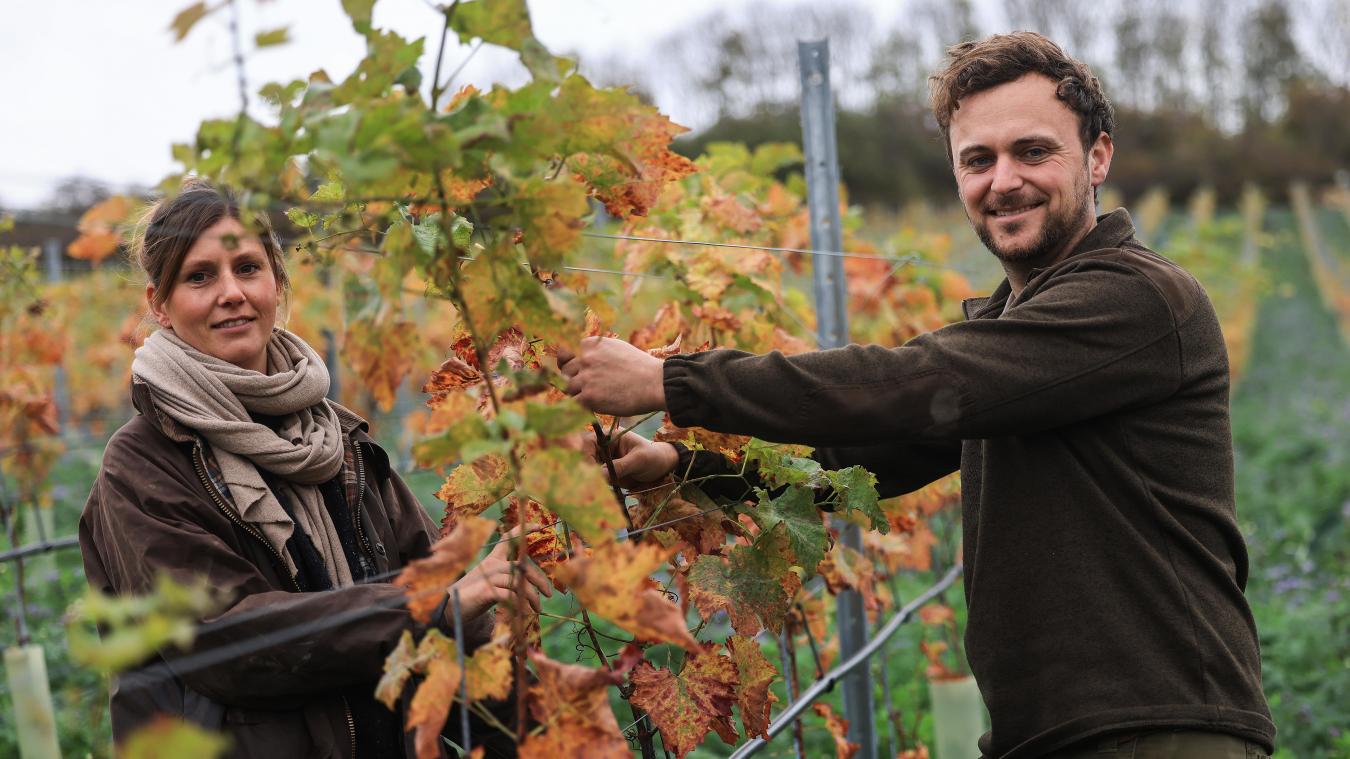 <p>Lisa (l) und Markus Schäfer, Winzer und Landwirte, stehen in ihrem Weinberg in der Eifel. Wenn alles einmal bepflanzt ist, wird es einer der größten Weinbaubetriebe in Nordrhein-Westfalen sein.</p>