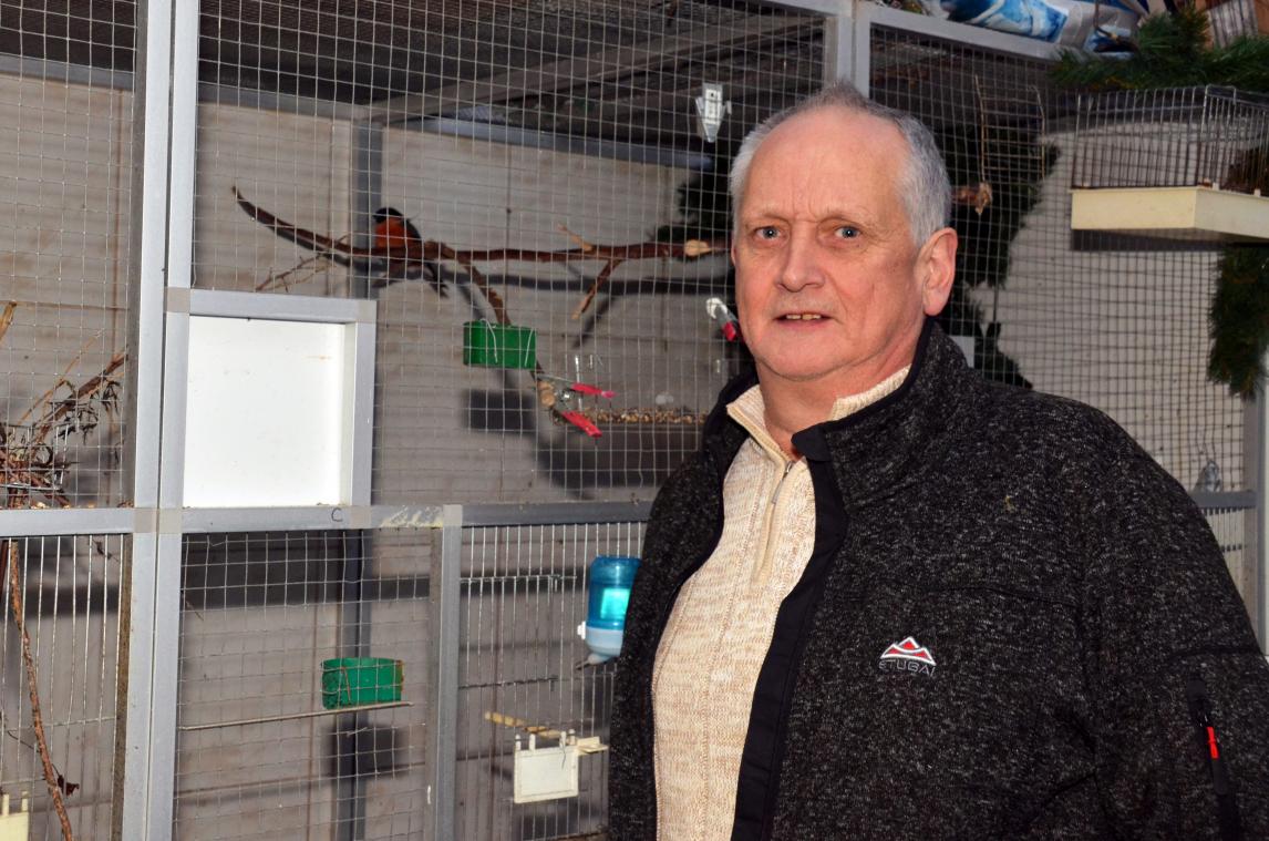 <p>Ralf Kochs Lieblingstier ist der Dompfaff, auch Gimpel oder Blutfink genannt.</p>