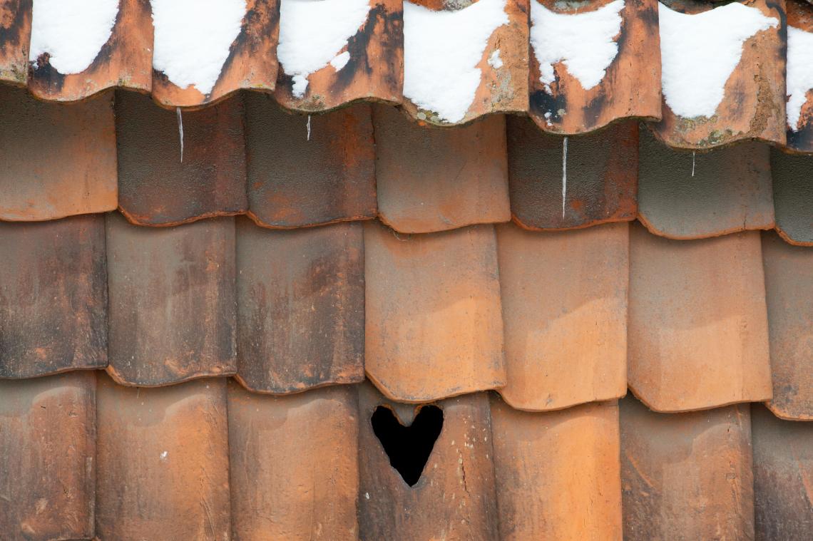 <p>Dachziegel könnten in diesem Jahr eine Preissteigerung erfahren. Davon geht die Baubranche aus.</p>