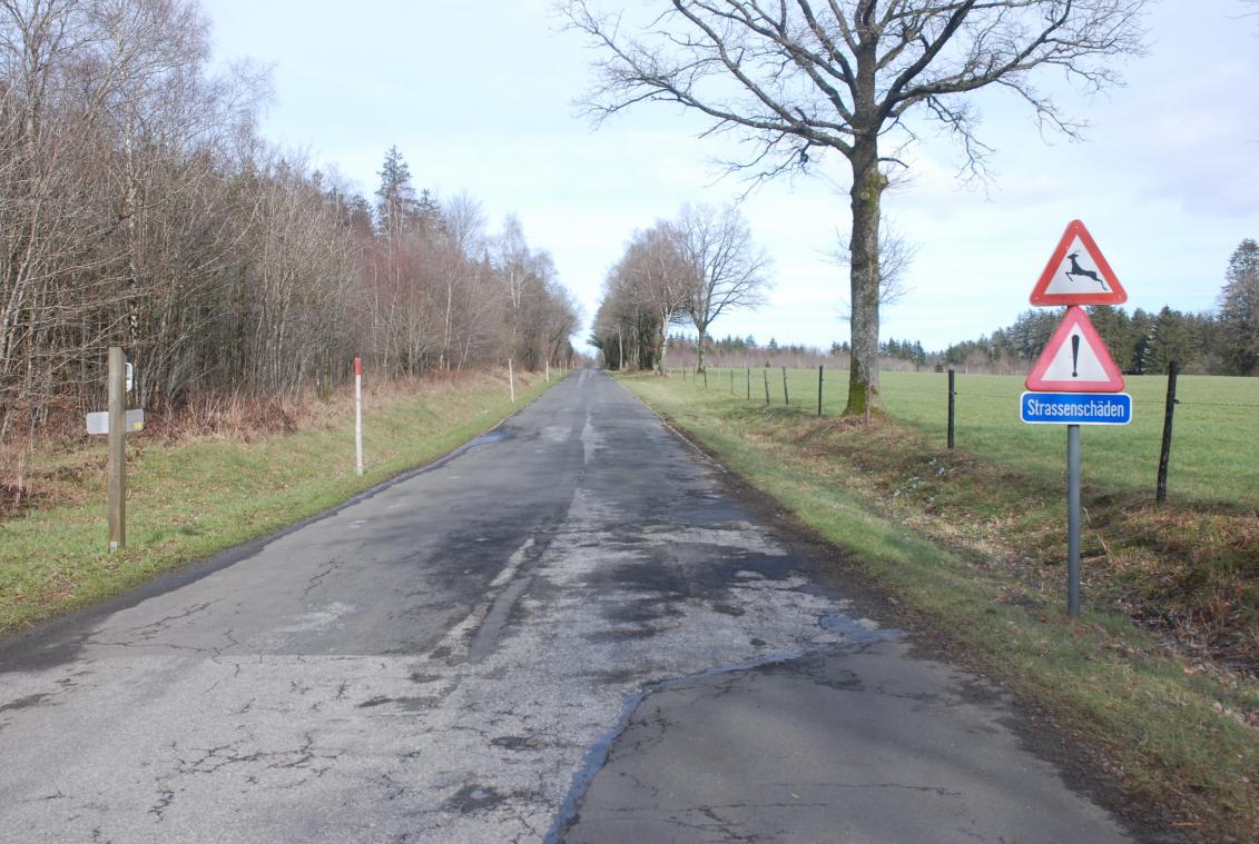 <p>Der Gemeindeweg von Halenfeld in Richtung Honsfeld befindet sich in einem desolaten Zustand, jedoch muss die Erneuerung noch warten, weil der Staatsratsentscheid in Sachen Windpark Amel-Büllingen immer noch aussteht.</p>