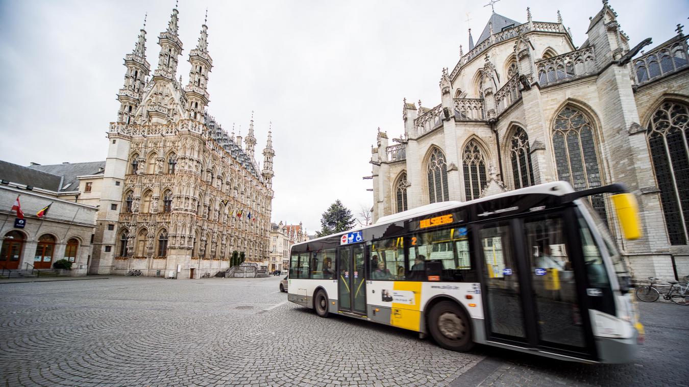 <p>Ein Blick von außenauf das Rathaus von Löwen</p>
