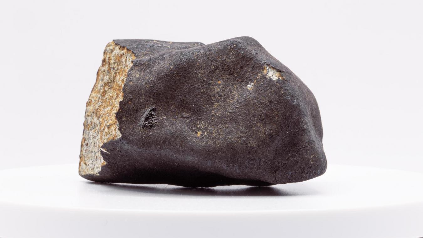 <p>Diese Aufnahme zeigt das 175 Gramm schwere Meteoritenstück, das in Fontaine le Dun gefunden wurde.</p>