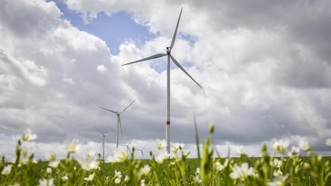 <p>Auch der Ausbau von Windparks gehört zu den Maßnahmen des Klimaplans der DG.</p>