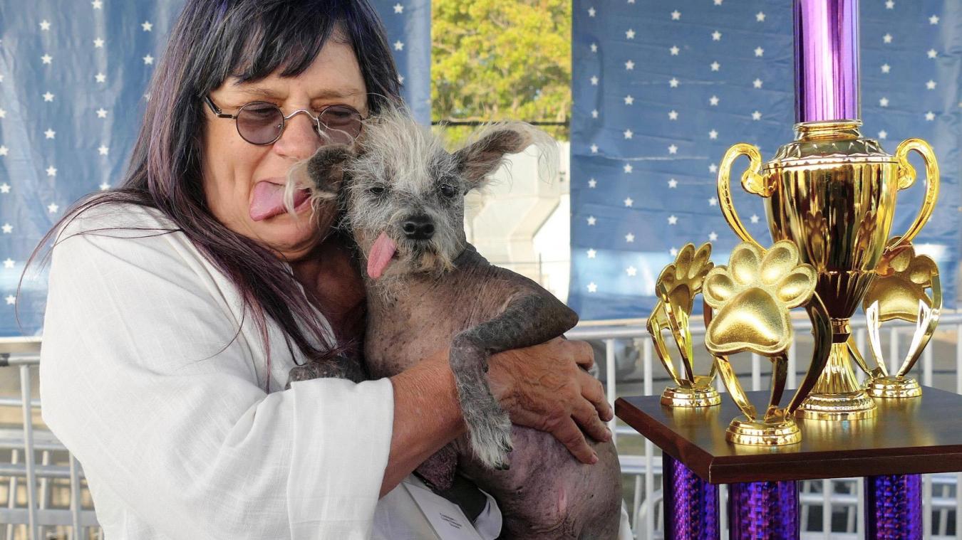 <p>Scooter, ein siebenjähriger chinesischer Schopfhund, wird von seiner Besitzerin Linda Elmquist gehalten, nachdem er den ersten Platz im Wettbewerb um den «Hässlichsten Hund der Welt» auf der Sonoma-Marin Fair in Petaluma, Kalifornien, gewonnen hat.</p>