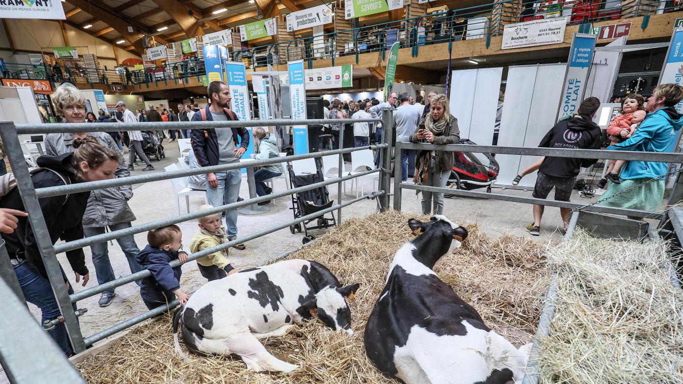<p>Die Libramont-Messe für Land- und Forstwirtschaft und Agribusiness ist die größte Freiluftmesse Europas.</p>