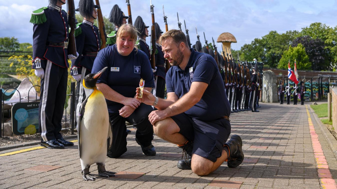 <p>Königspinguin Sir Nils Olav erhält seine Auszeichnung von den Mitarbeitern des Edinburgher Zoos, Lorna Moffat und Michael Livingstone.</p>