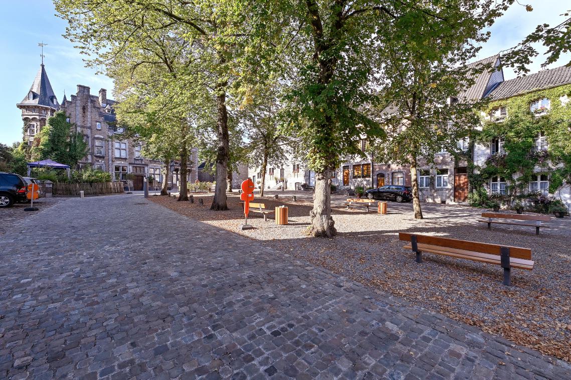 <p>Auf dem Place Saint Georges in Limbourg findet am Sonntag der zweite „Marché Coup d’Coeur“ statt.</p>