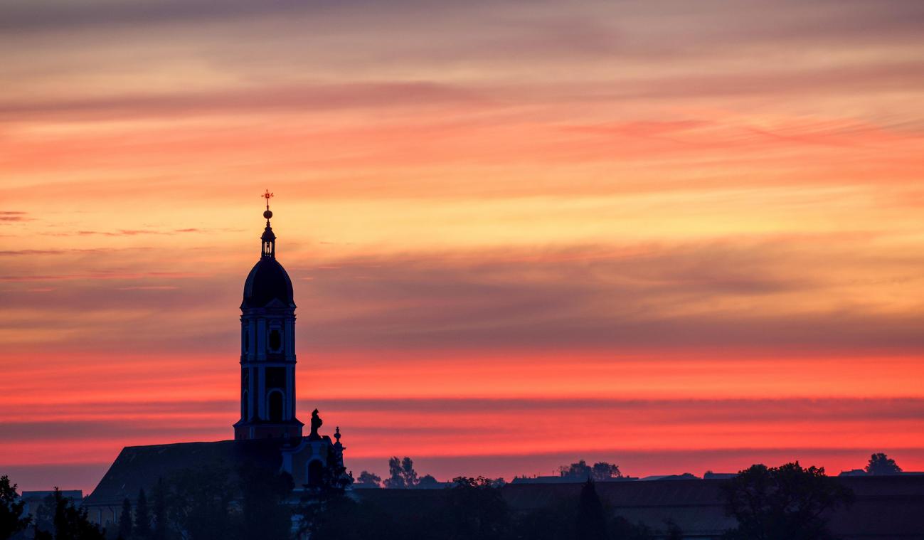 <p>Über die Stiftung „Dignity“ haben Opfer sexuellen Missbrauchs in der Kirche bereits sechs Millionen Euro an Entschädigungen erhalten.</p>