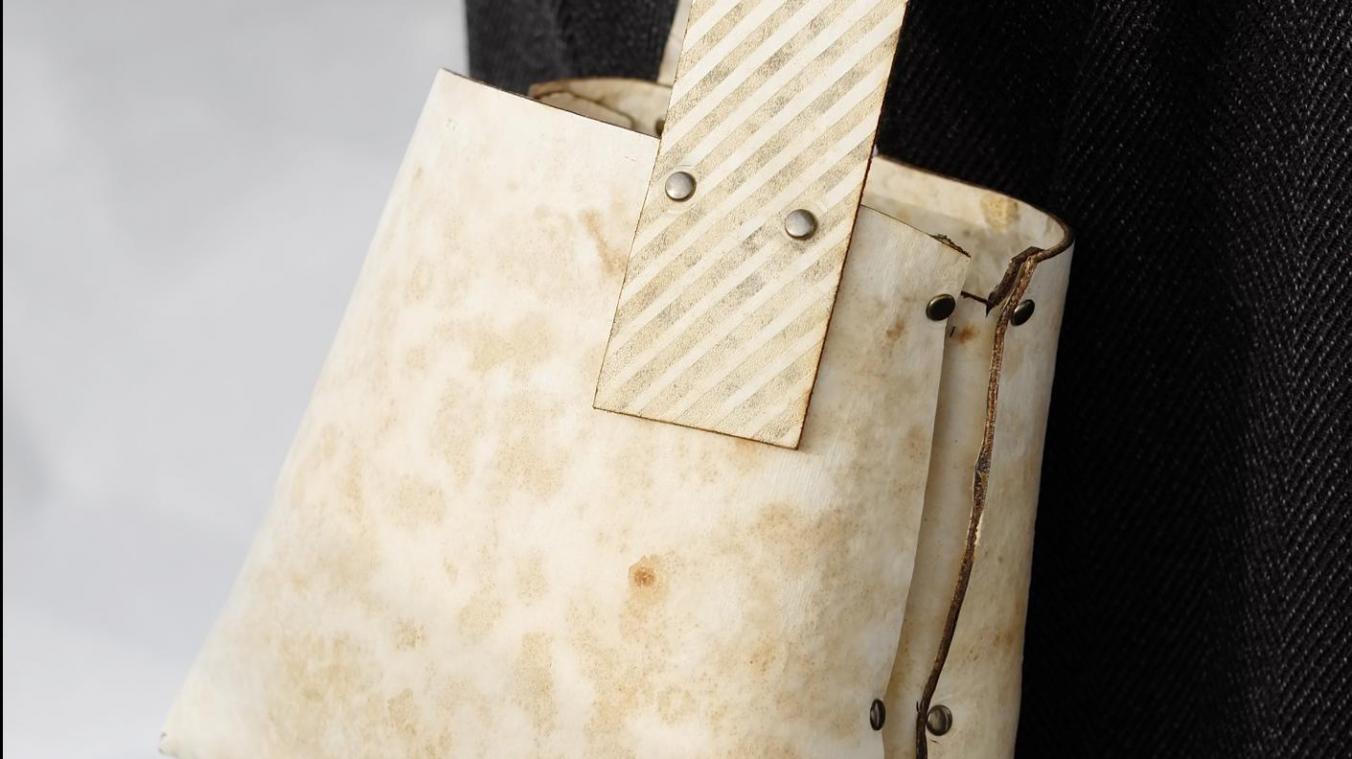 <p>So sieht die Handtasche aus.</p>