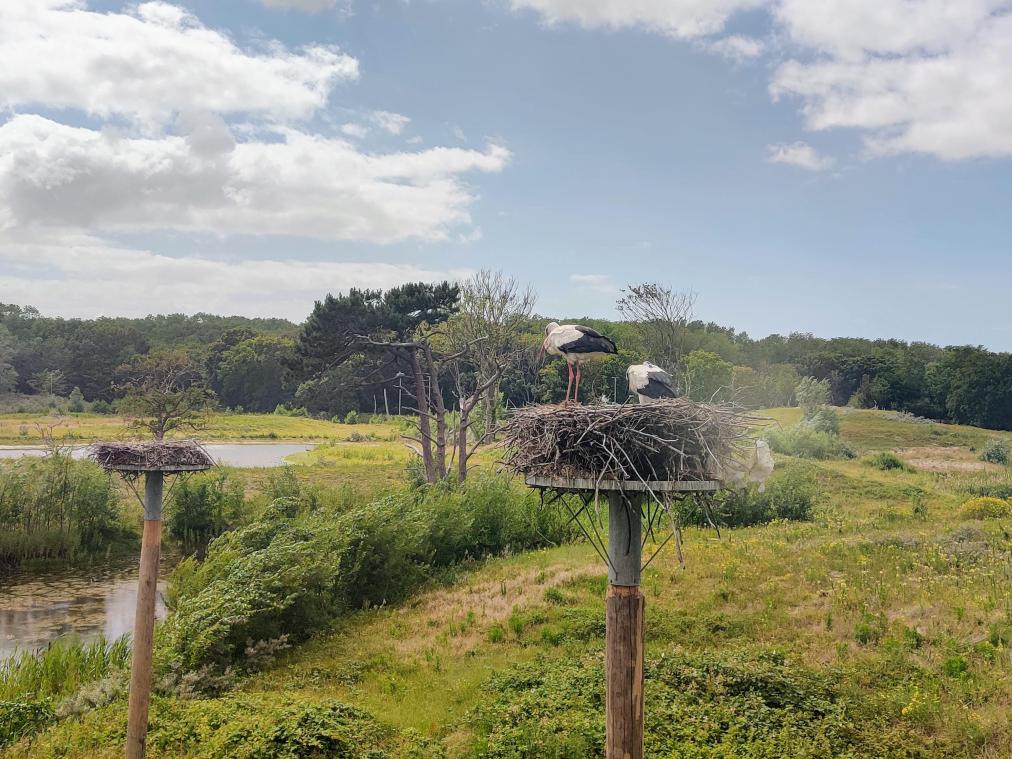 <p>Den Zwin können auch Sehbehinderte und Blinde dank speziellen Materials erkunden.</p>