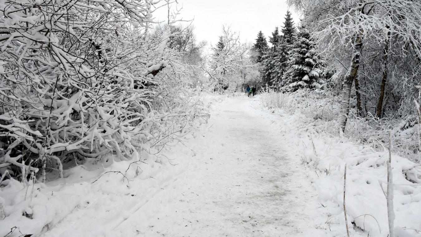 <p>Auch im hohen Venn ist am Wochenden mit neuen Schneefällen zu rechnen.</p>
